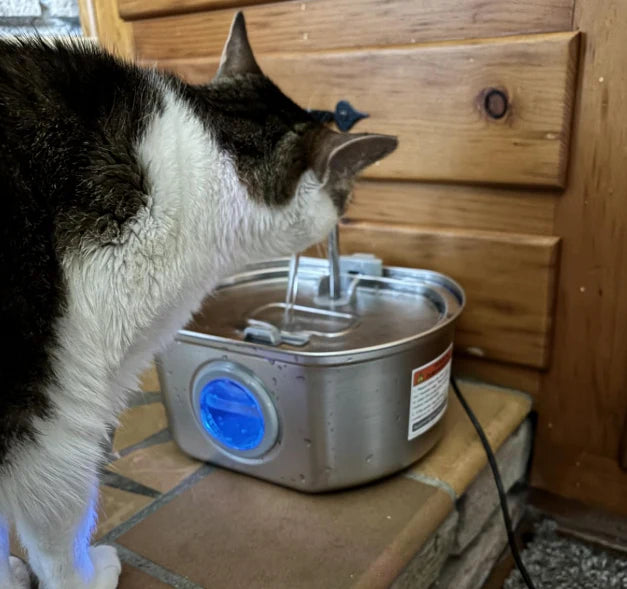 Stainless Steel Cat Water Fountain 108 oz(108 oz)