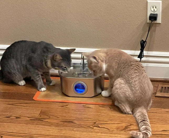 Stainless Steel Cat Water Fountain 108 oz(108 oz)